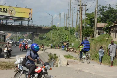 DSC_7555 (Large).JPG